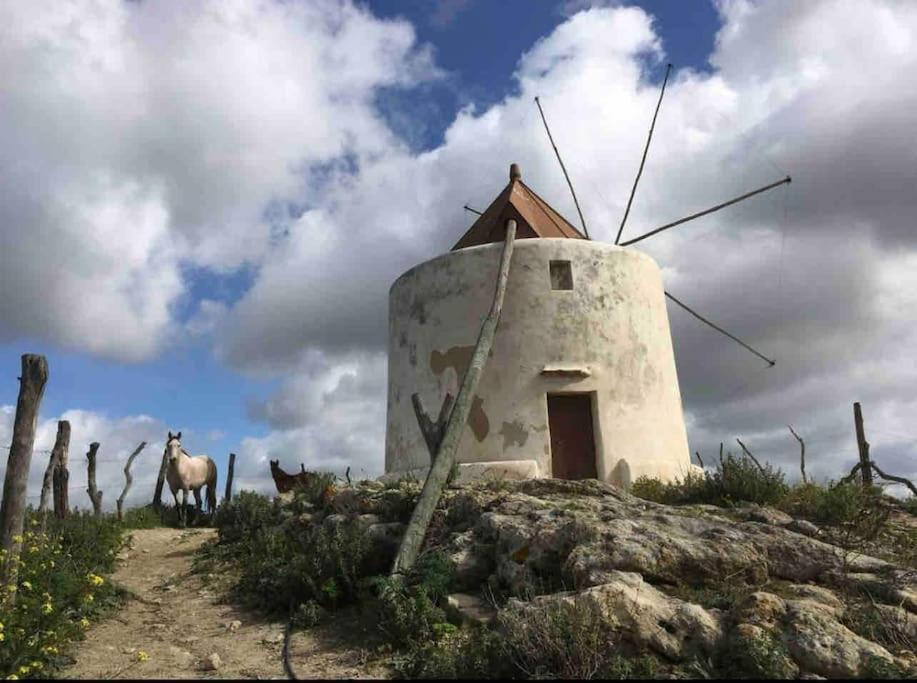 La Torre Eco-Suite Vejer de la Frontera Exteriér fotografie